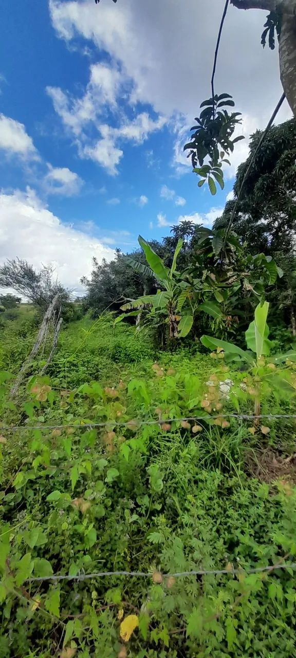 Vendo terreno no guajará  - Foto 2
