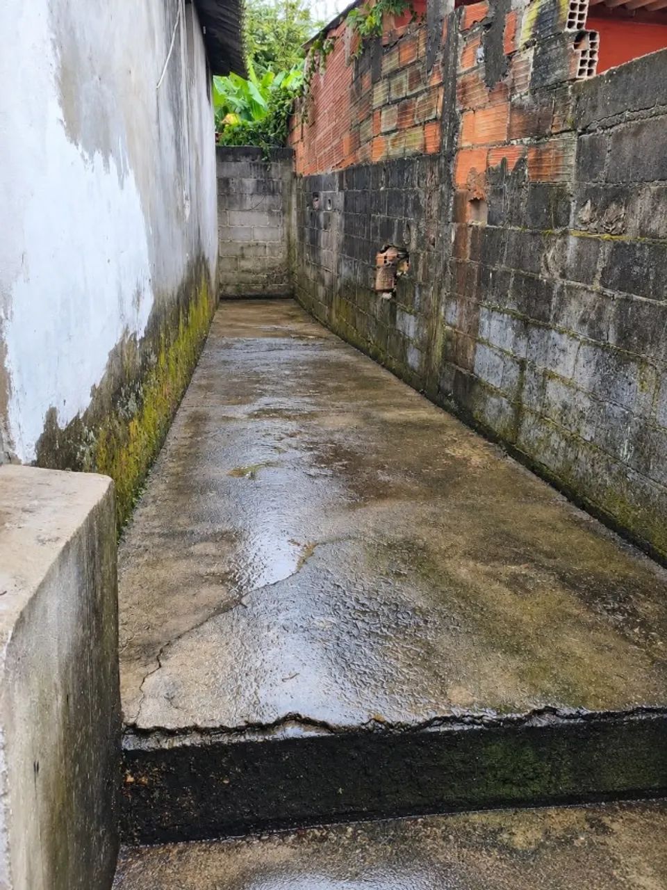 Venda - Foto 4