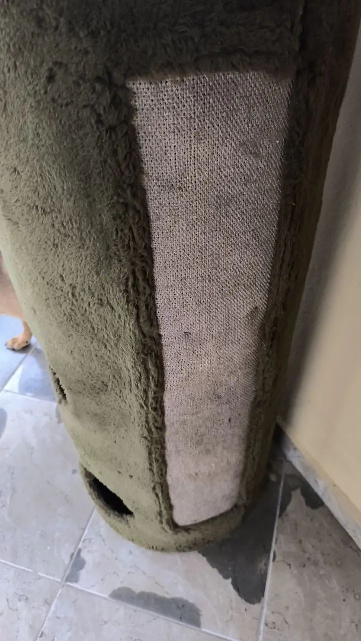 Arranhador para gatos - Foto 4