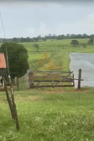Fazenda - Patos de Minas - Zona Rural - Foto 3