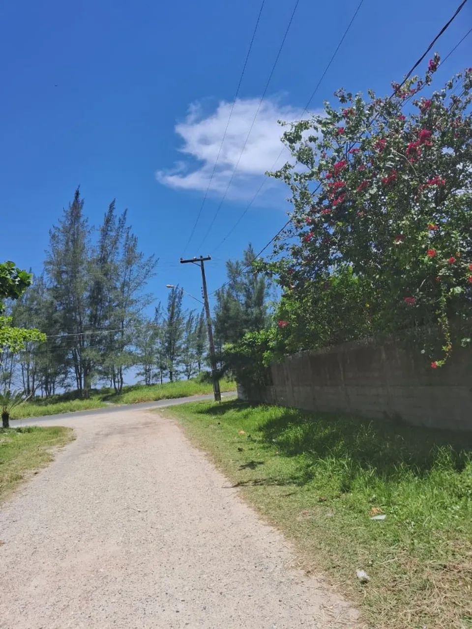 Cantinho da Ilha  - Foto 10