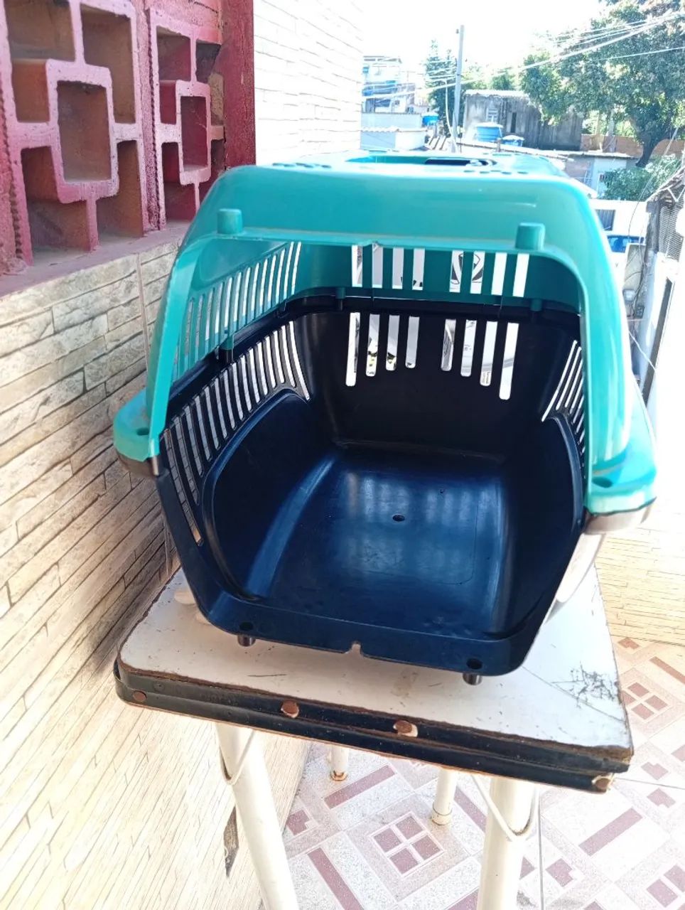 Cachorro  - Foto 2