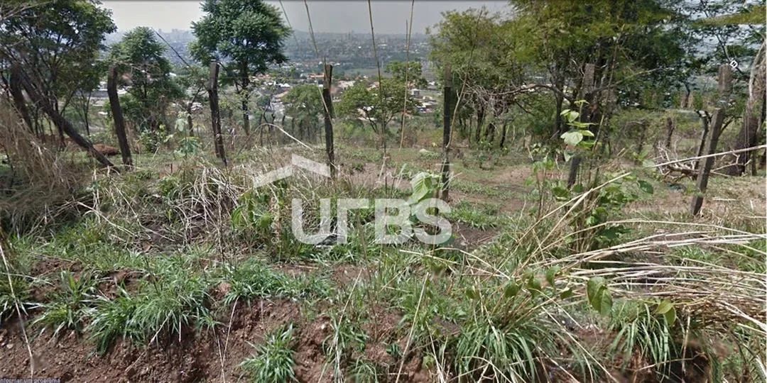 Terreno com 1000m2 proximo a GO-060 - Foto 5