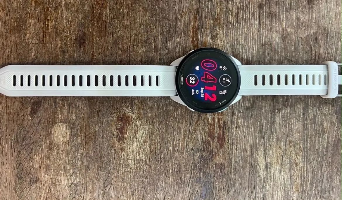 GARMIN 165