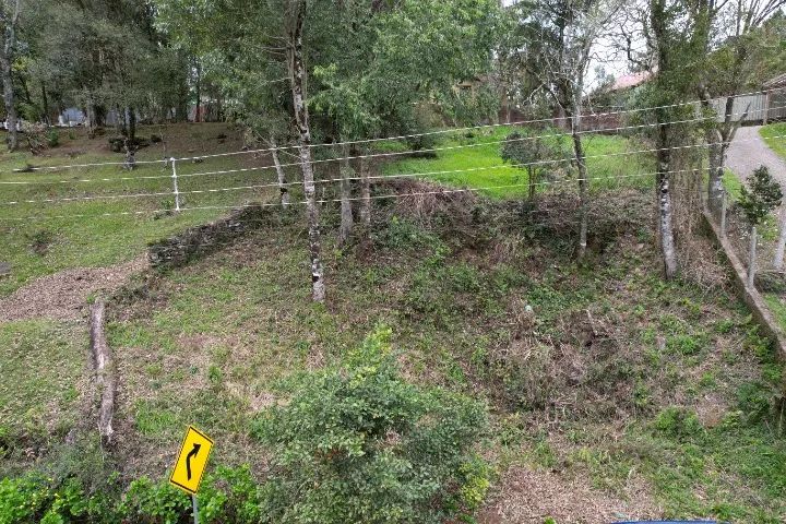Vende-se terreno com 840,00 m² em Gramado/RS - Loteamento Vale dos Pinheiros - Foto 6