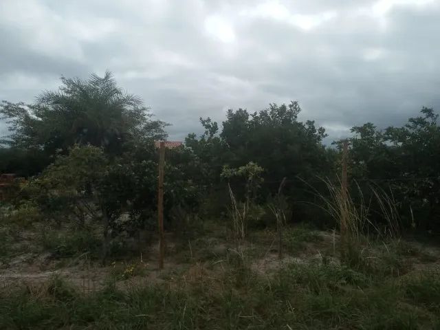 Terreno 2000m2 - Foto 4