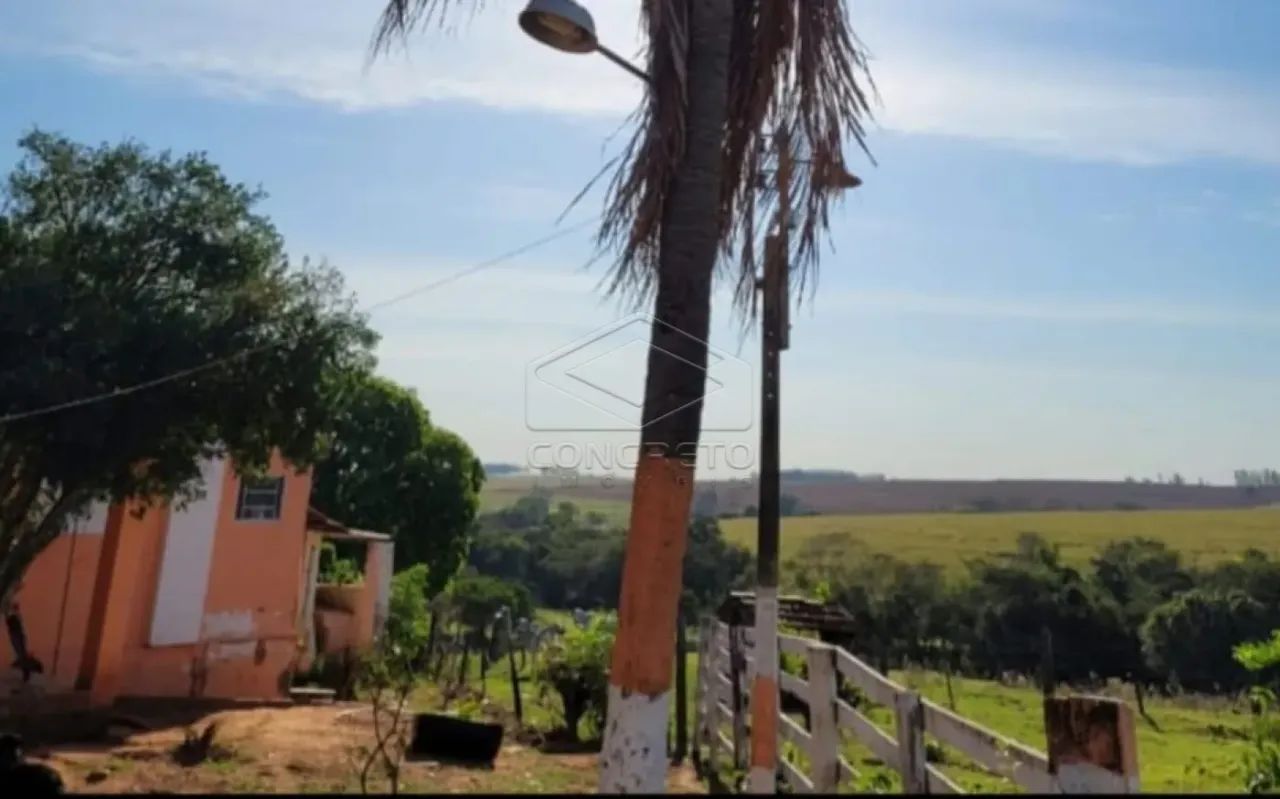 Rural Sitio em Adamantina - Foto 4
