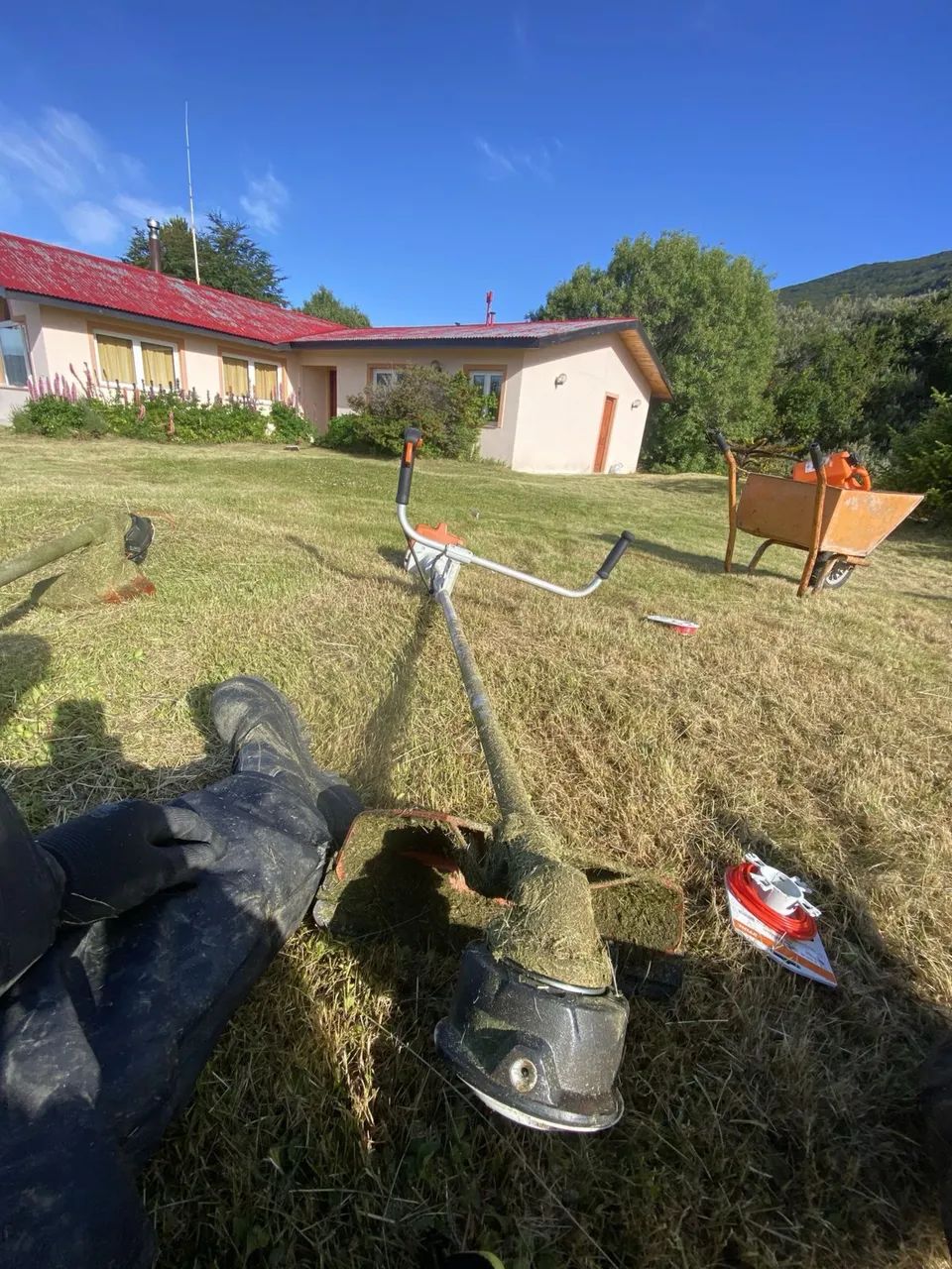 Roçagem de quintal, limpeza em terrenos podagem de árvore - Foto 2