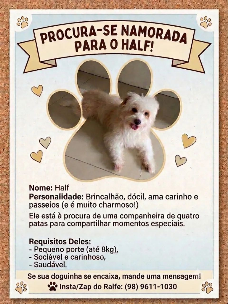 Procuro uma namorada para Halfe