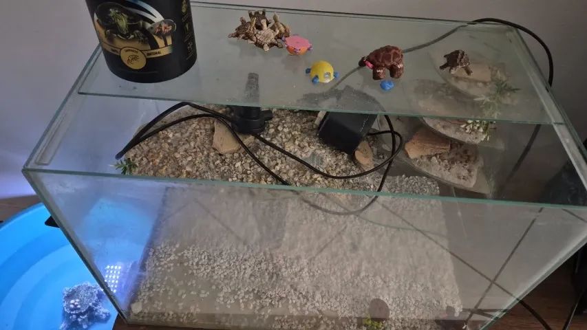 Aquário com terrário 