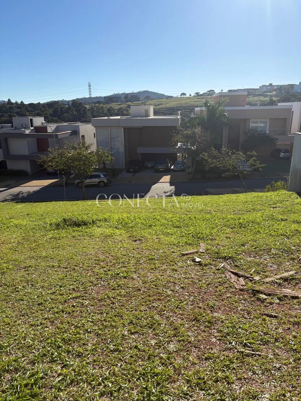 Burle Marx - Foto 2
