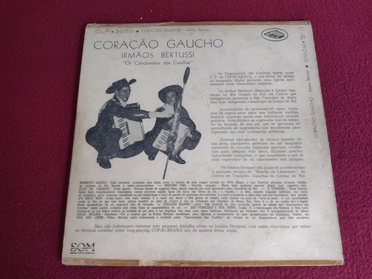 Vinil Irmãos Bertucci - Foto 2