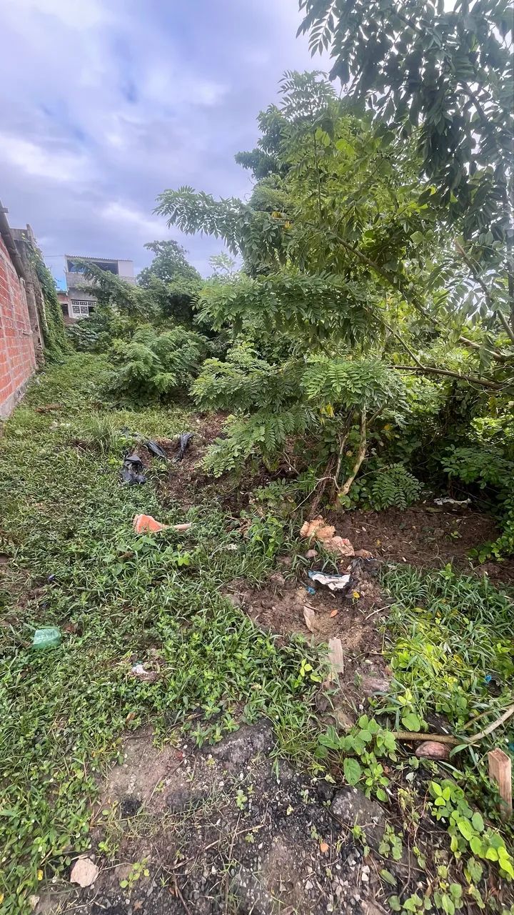 Terreno no parque do faróis  - Foto 3