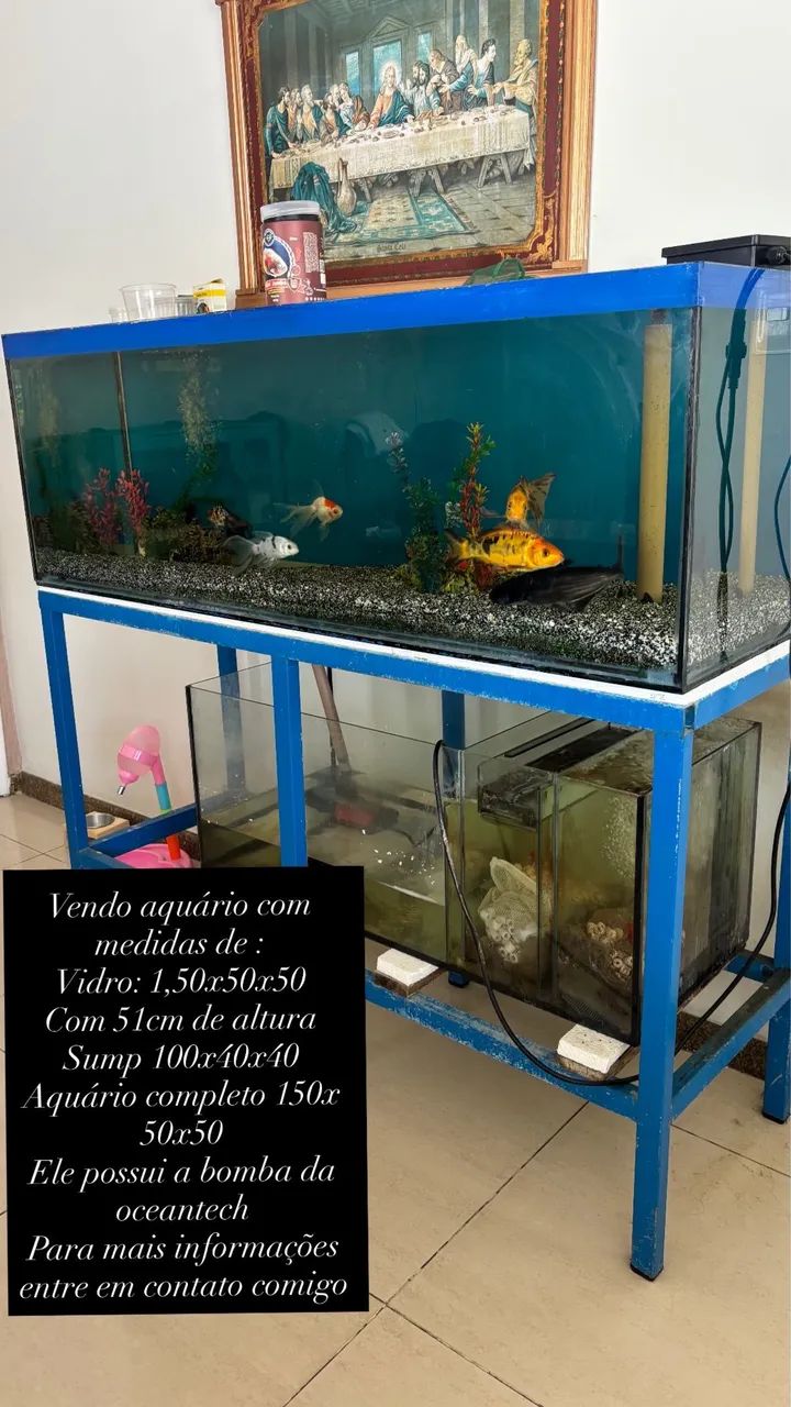 Aquário  - Foto 6