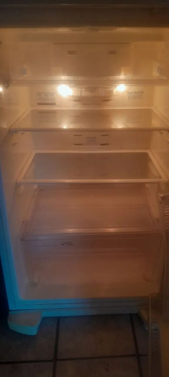 Geladeira Electrolux df47 440 l