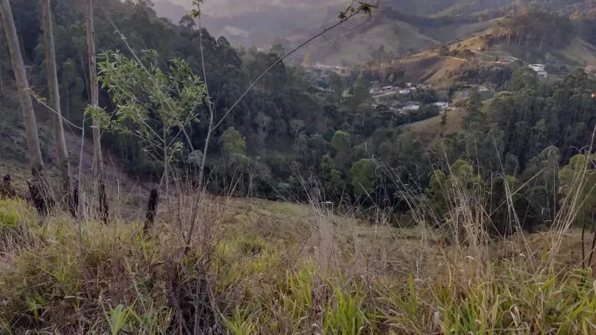 Lindo sitio de 35.000m2 no Sul de Minas!! Delfim Moreira MG - Foto 6