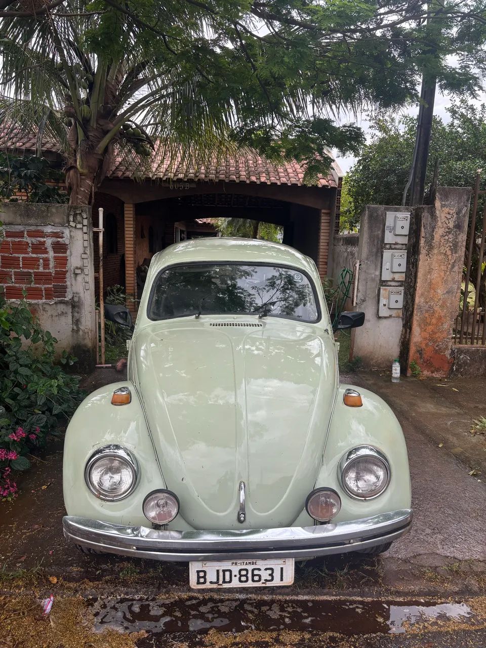Volkswagen Fusca Fusca (gasolina) 1982