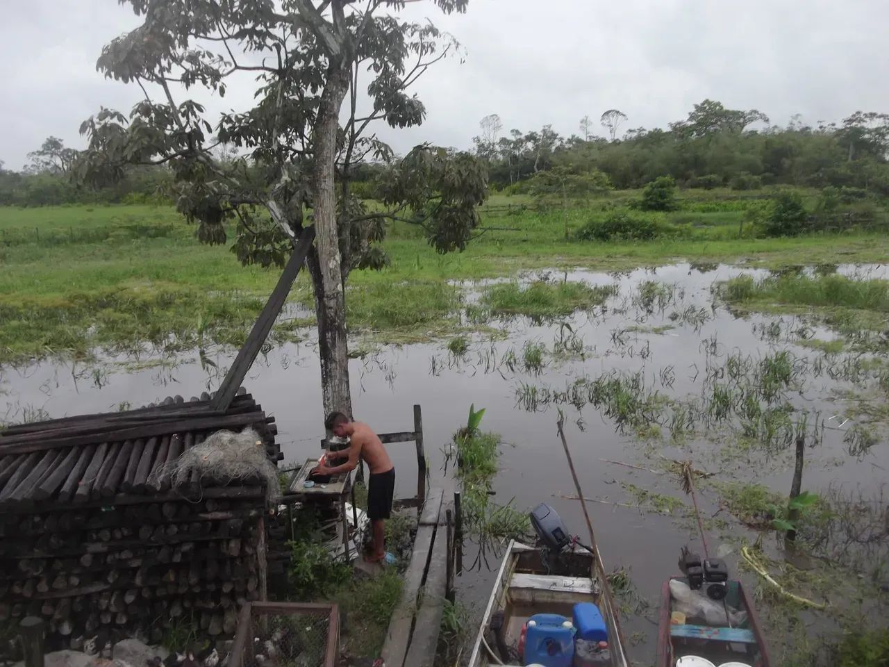 Fazenda a venda no - Pracuúba - AP - Foto 4