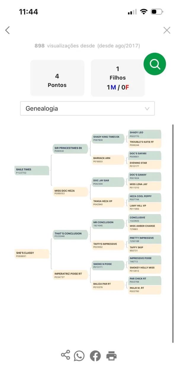 CAVALO DE DIREITA - Foto 5