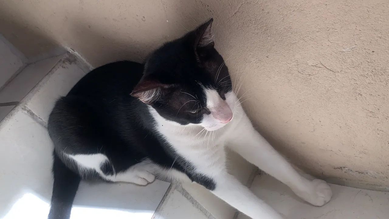Mim leva pra sua casa  - Foto 3