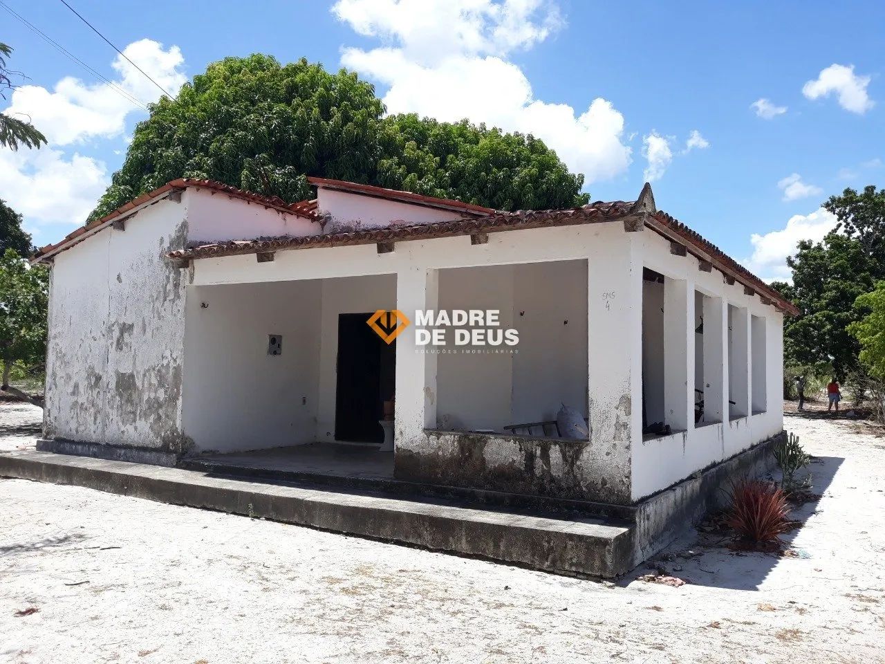 Sitio de7,5 hectares com casa . - Foto 5