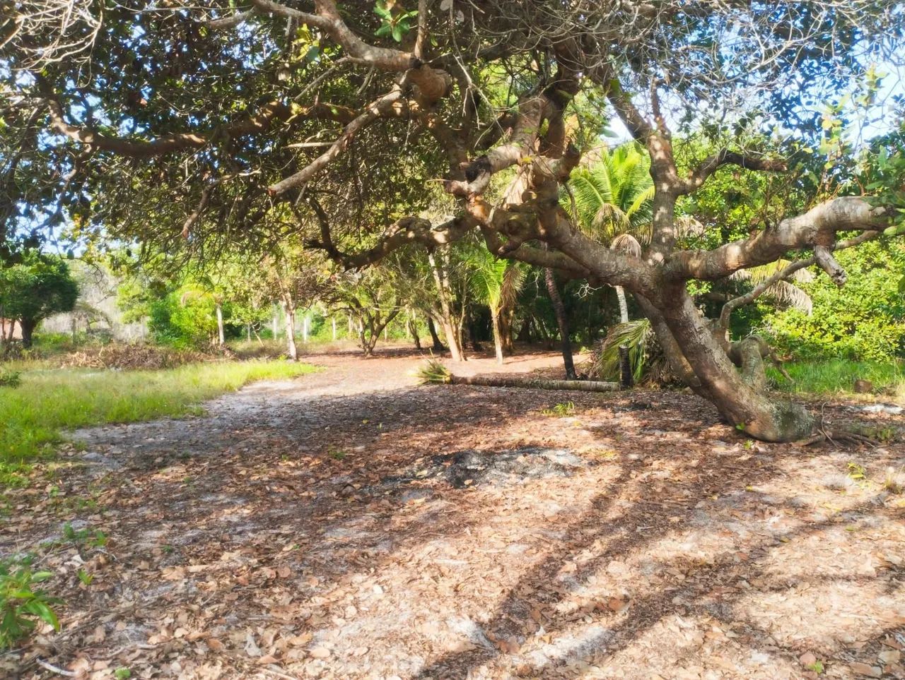 TERRENO EM NOVA VIÇOSA BA  - Foto 4