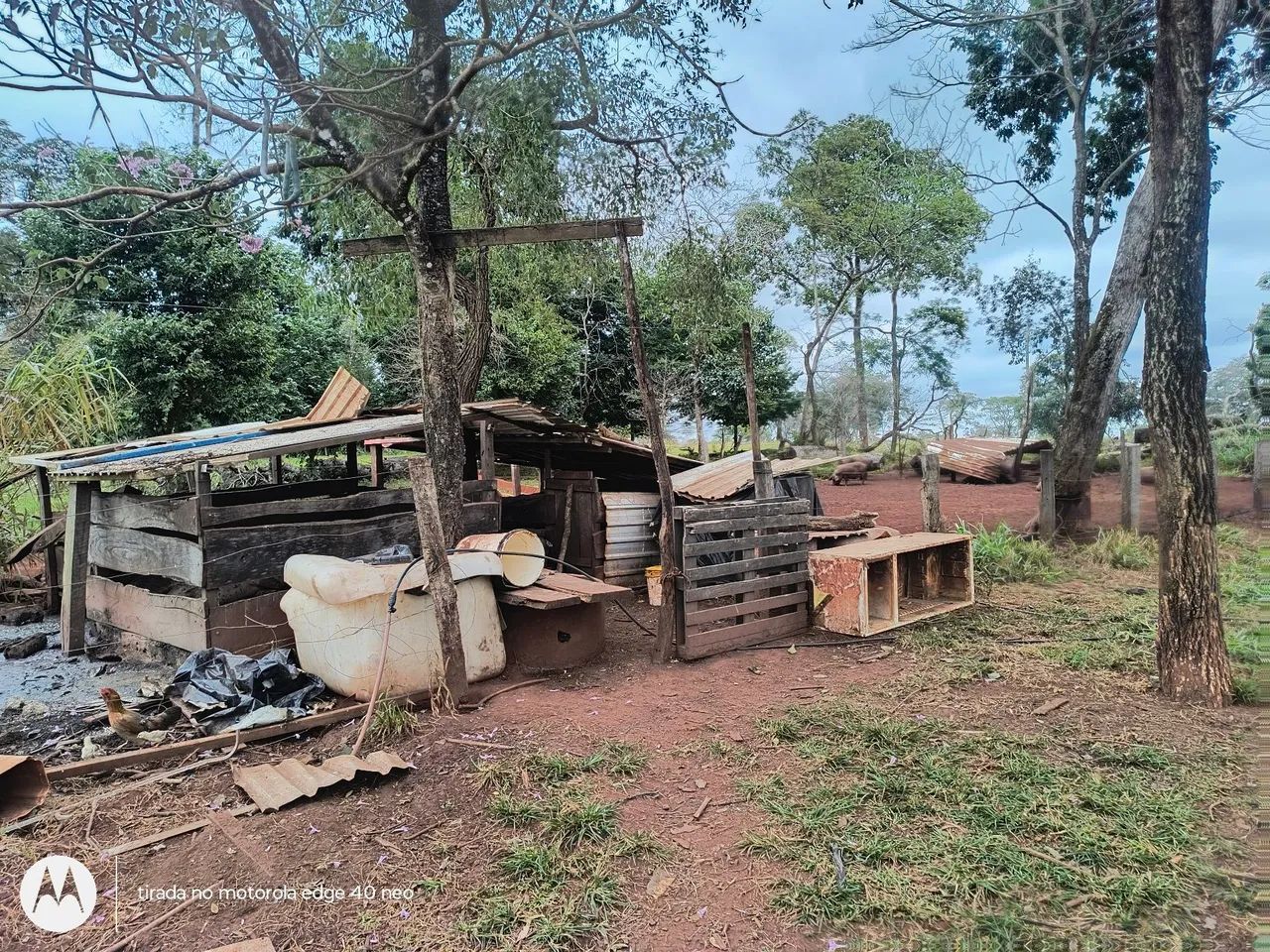 Sitio com queijaria e estrutura completa  - Foto 5