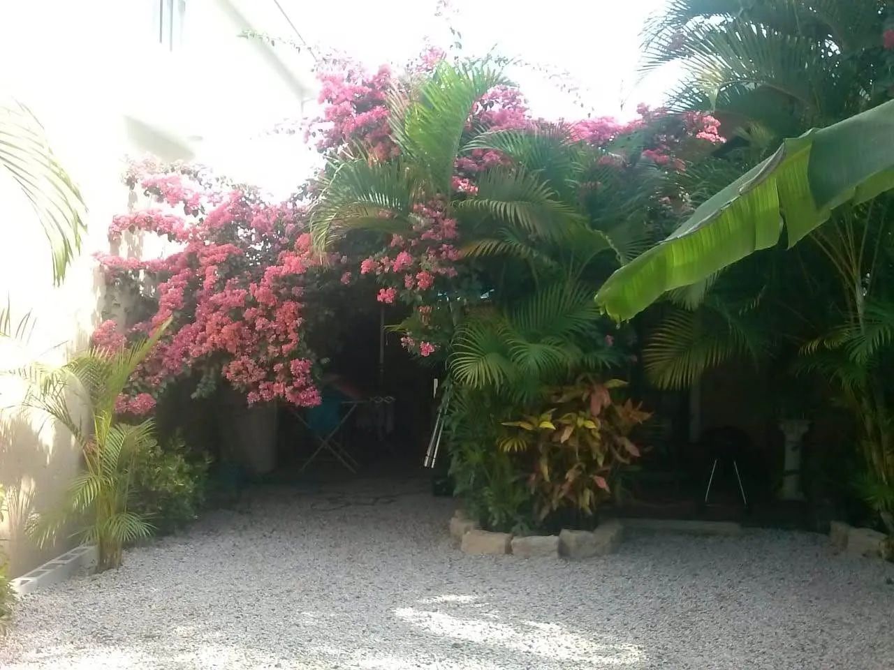 Alugo uma casa de 1 quarto para 1 pessoa. - Foto 3