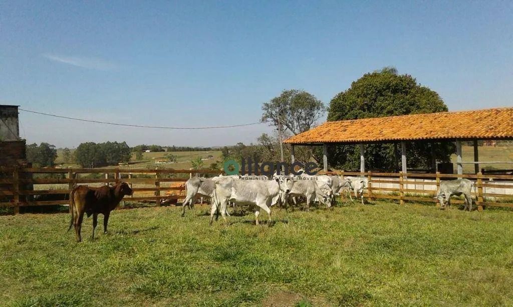 EXCELENTE SÍTIO A VENDA EM ITAPETININGA  SÃO PAULO - Foto 2