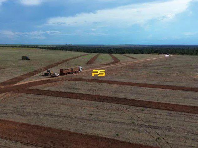 Fazenda 1.4 ha em Tupiratins à Venda REF: PS6181 - Foto 2