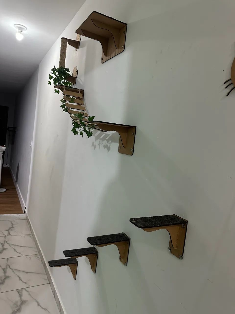 Cat Playground430187369140080641
