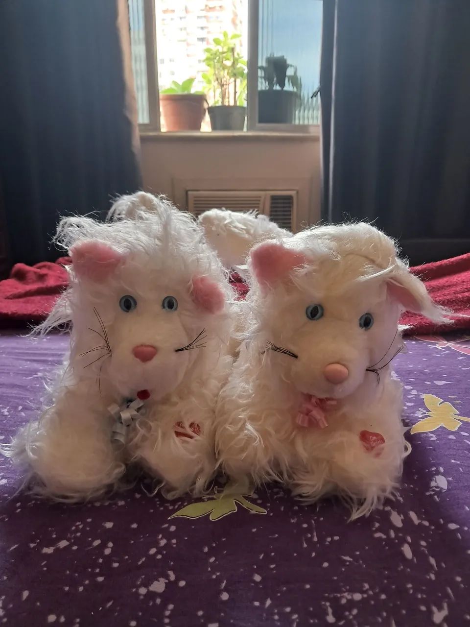 Gatos de pelúcia 