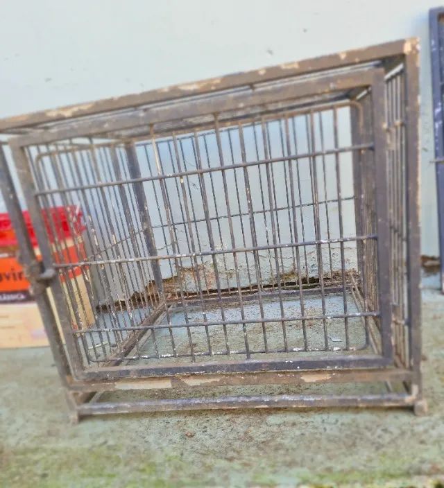 caixa gaiola transporte pet