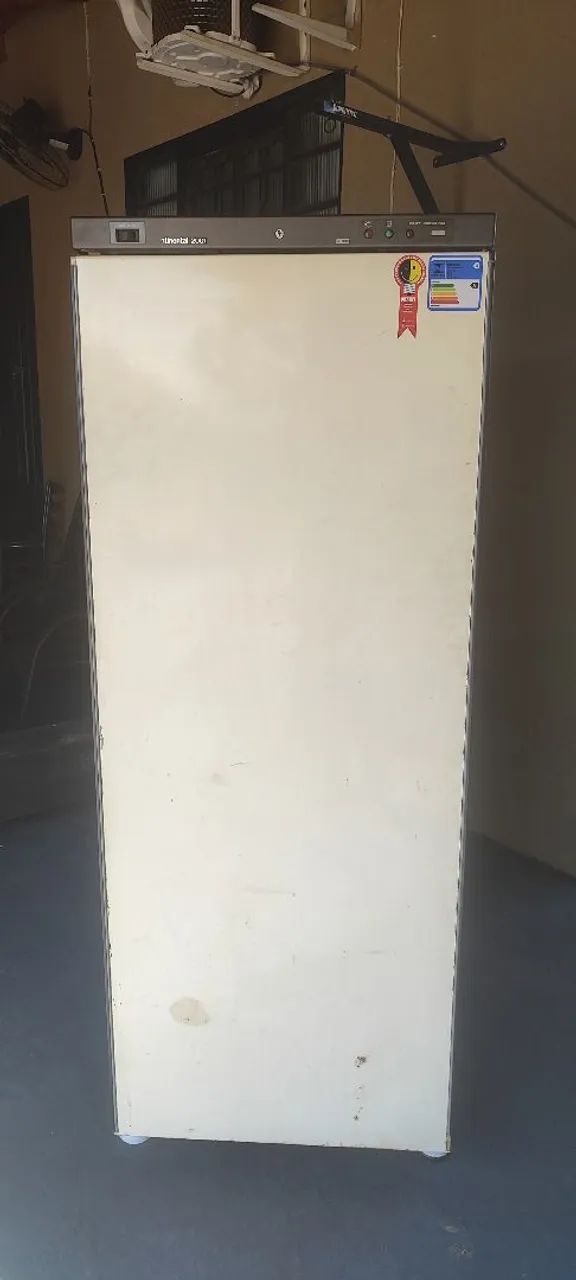 Freezer vertical