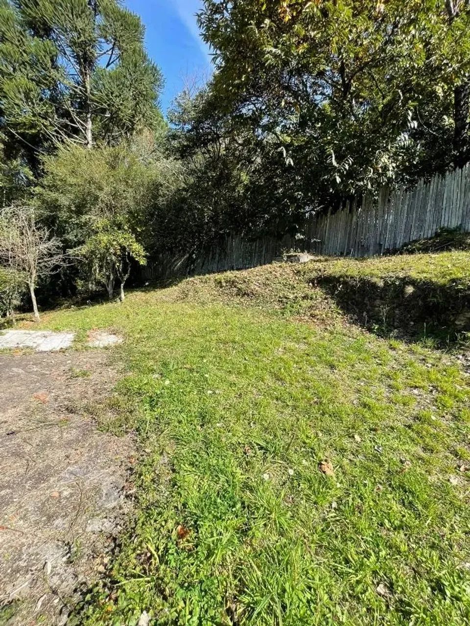 CAXIAS DO SUL - Terreno Padrão - LINHA 40 - Foto 12