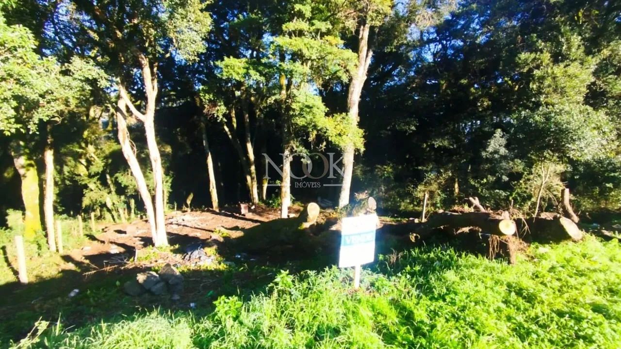 Terreno em Canela - Foto 2