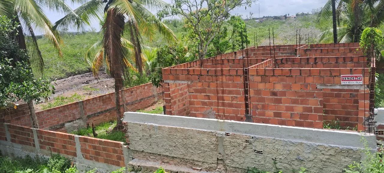 Sitio 45.000 - Foto 3