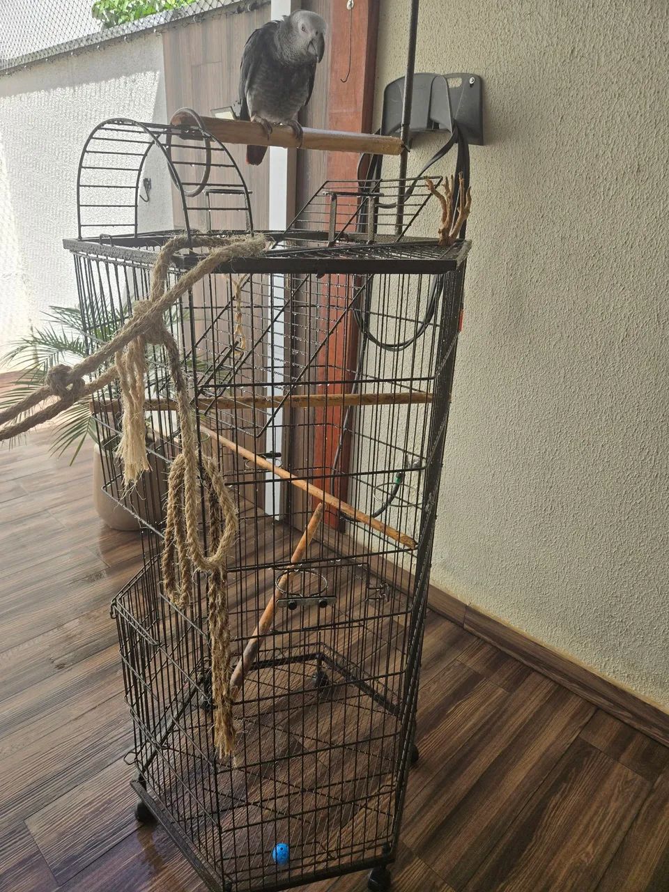 Gaiola grande Viveiro para passaros premium - Foto 4