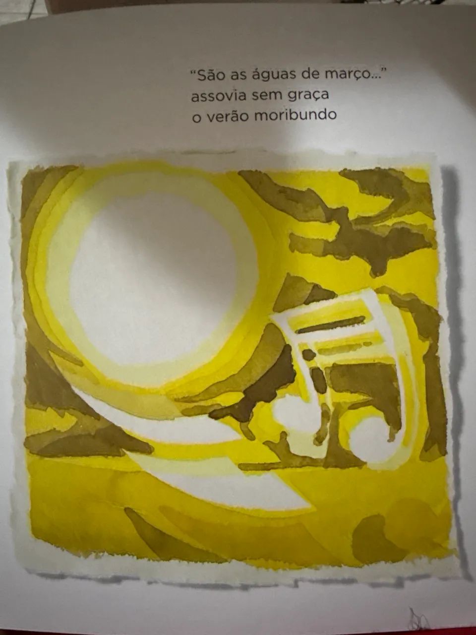 Livro - Foto 2