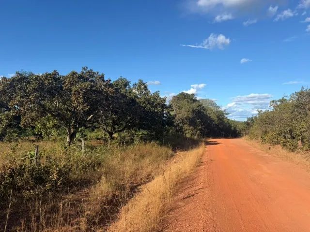Fazenda Sao Joao - Peixe TO 120 ha