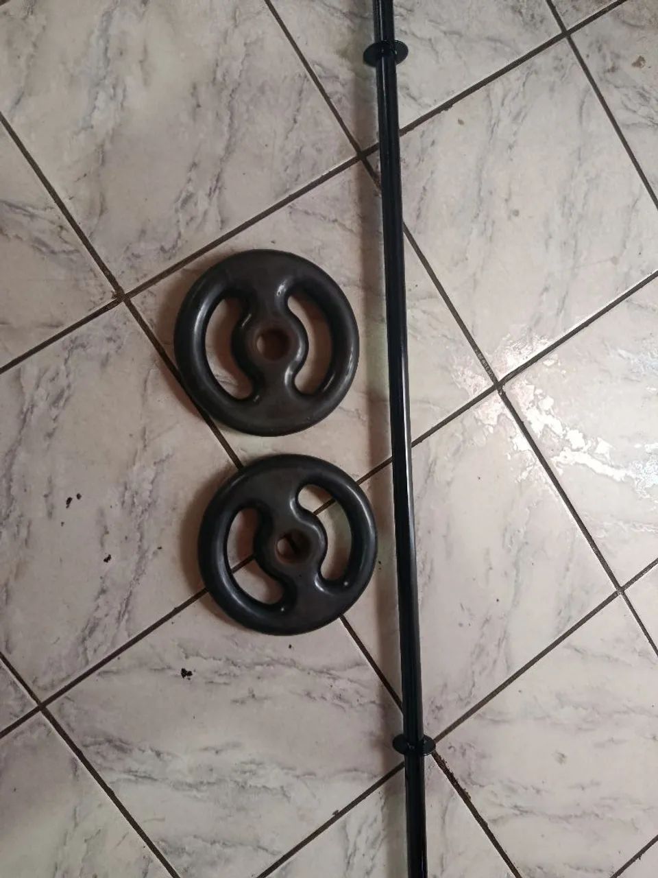 Barra com duas anilhas de 5 kilos 