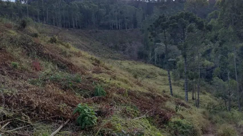Lindo sitio de 35.000m2 no Sul de Minas!! Delfim Moreira MG - Foto 10