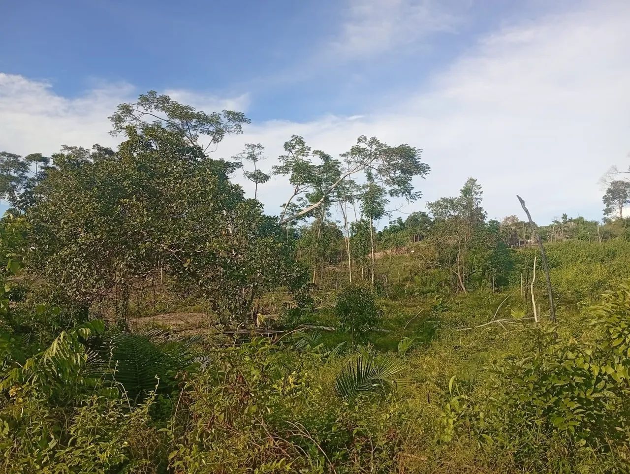 Terreno Lote - Foto 4