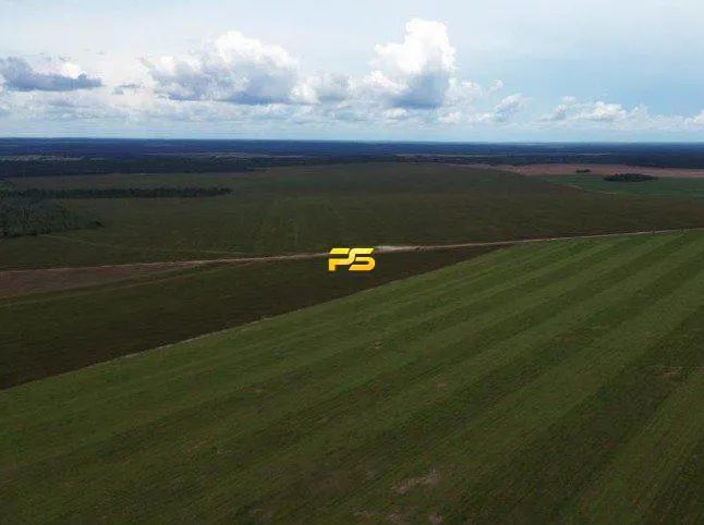 Fazenda 1.4 ha em Tupiratins à Venda REF: PS6181 - Foto 5