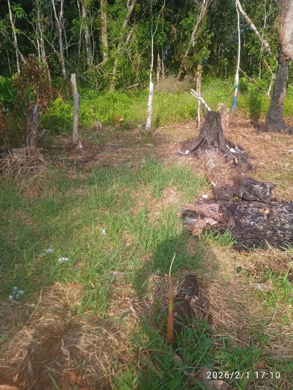 Terreno 8 por 10 - Foto 3