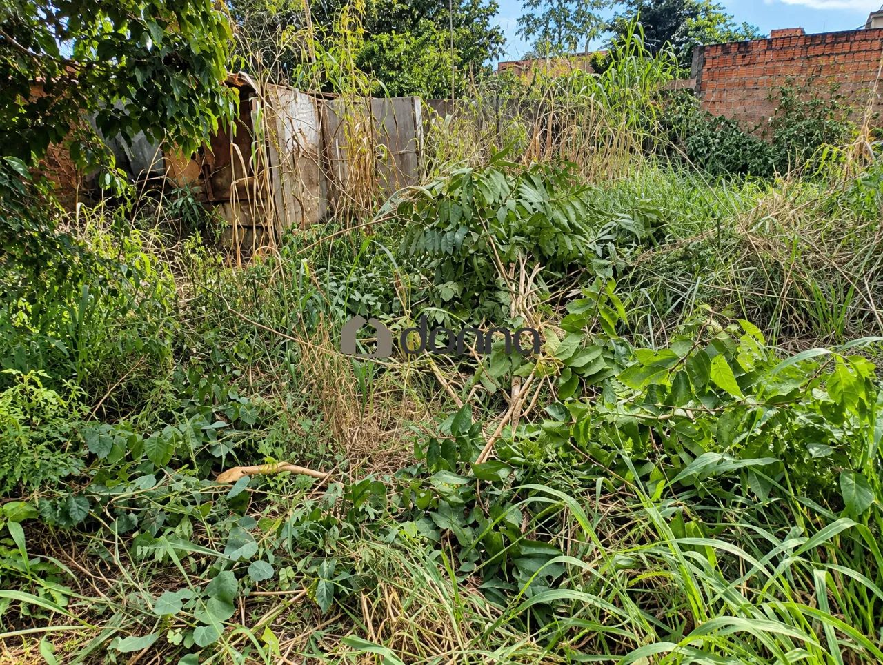 Lote à venda, Fabrício - Uberaba/MG - Foto 5
