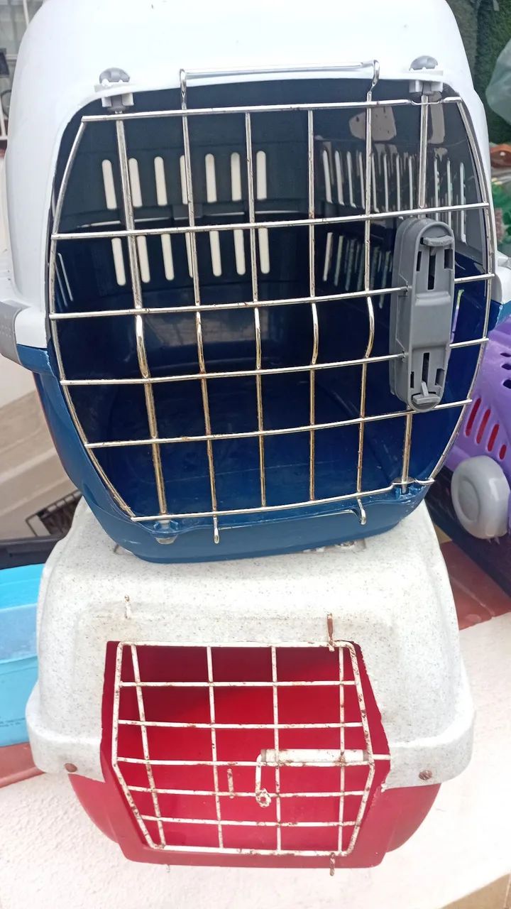 Cazinha de gato - Foto 2