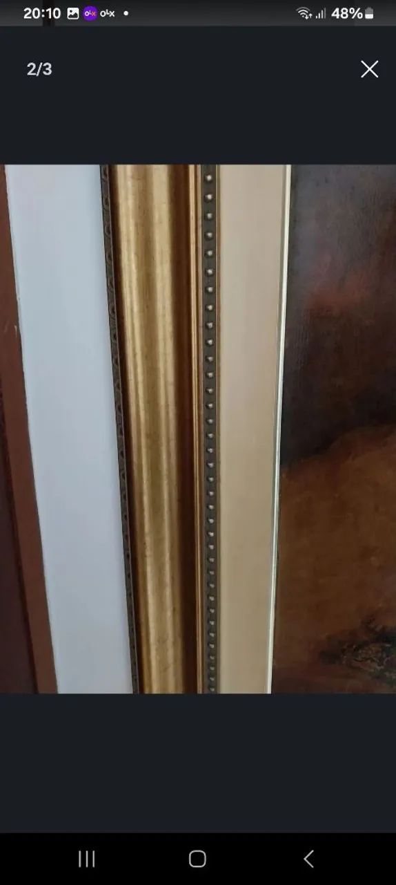 Quadro Jeremias - Foto 2