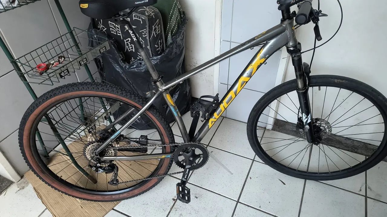 Aro 29 Audax bicicleta mtb
