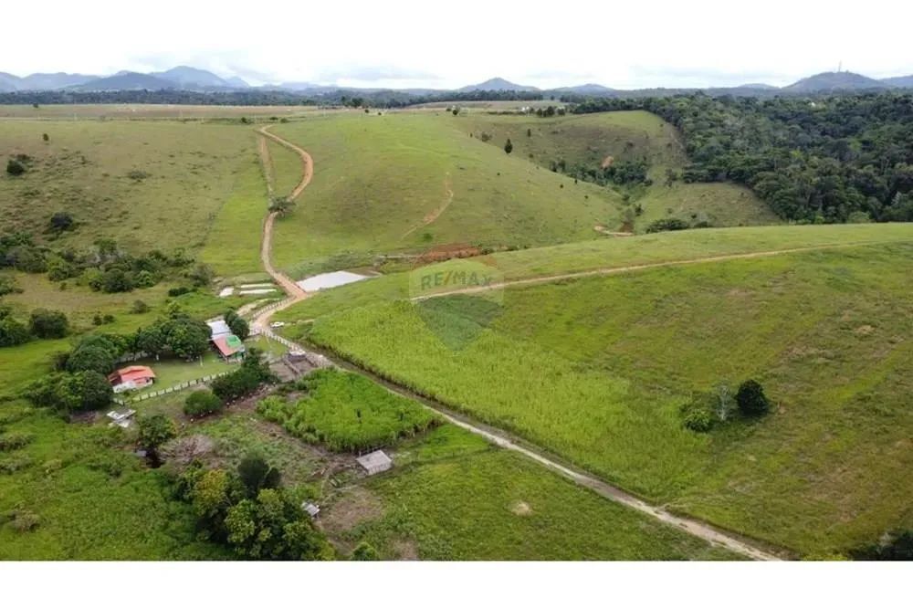 FAZENDA PRIMAVERA A VENDA ITAMARAJU BA - Foto 6